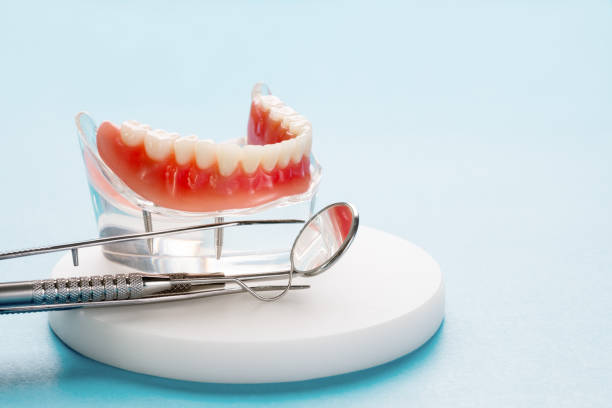 Professional Dental Services in La Marque, TX